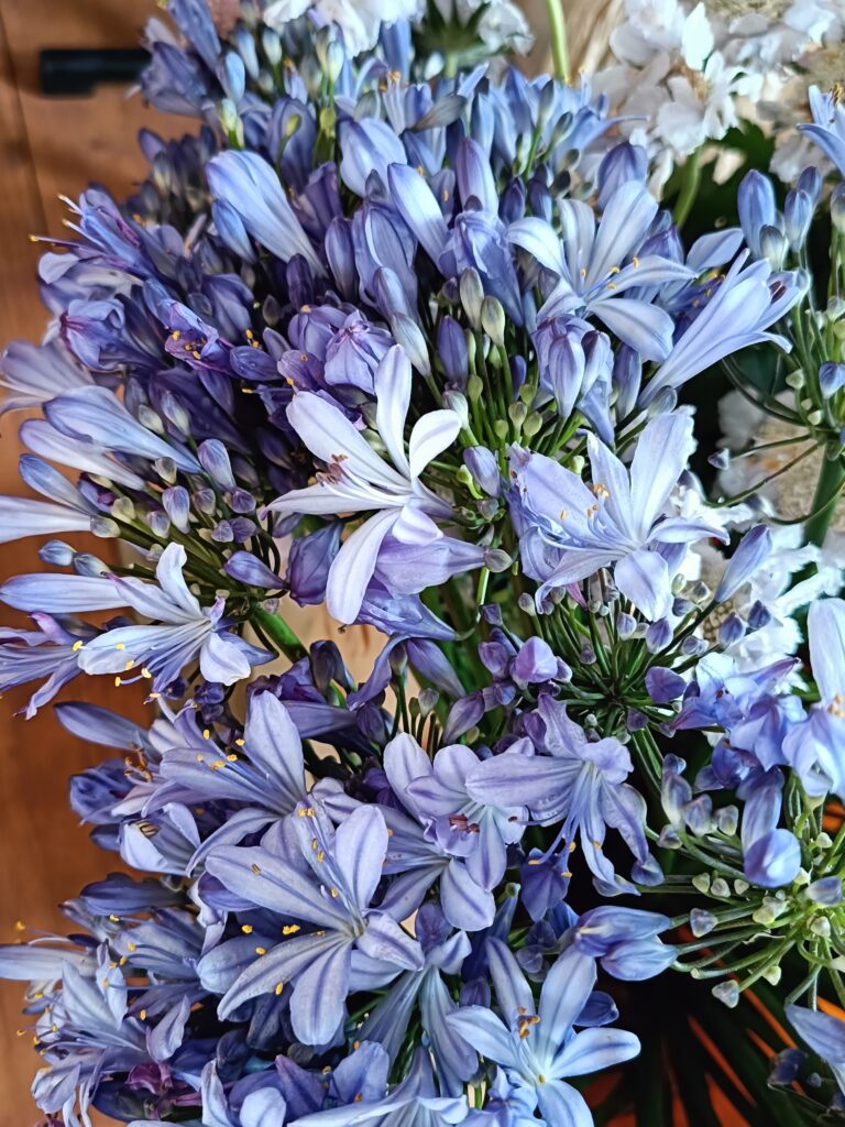 Happy Organisation Wedding Planner - Indre - région Centre-Val de Loire